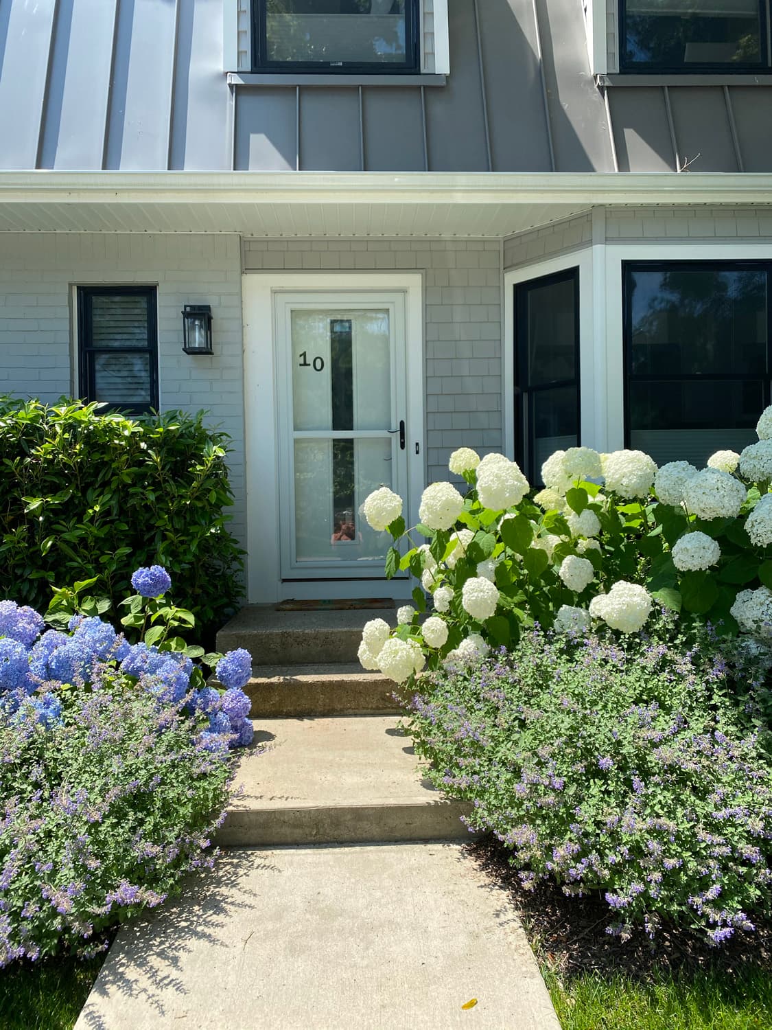 Charming entrance with hydrangeas